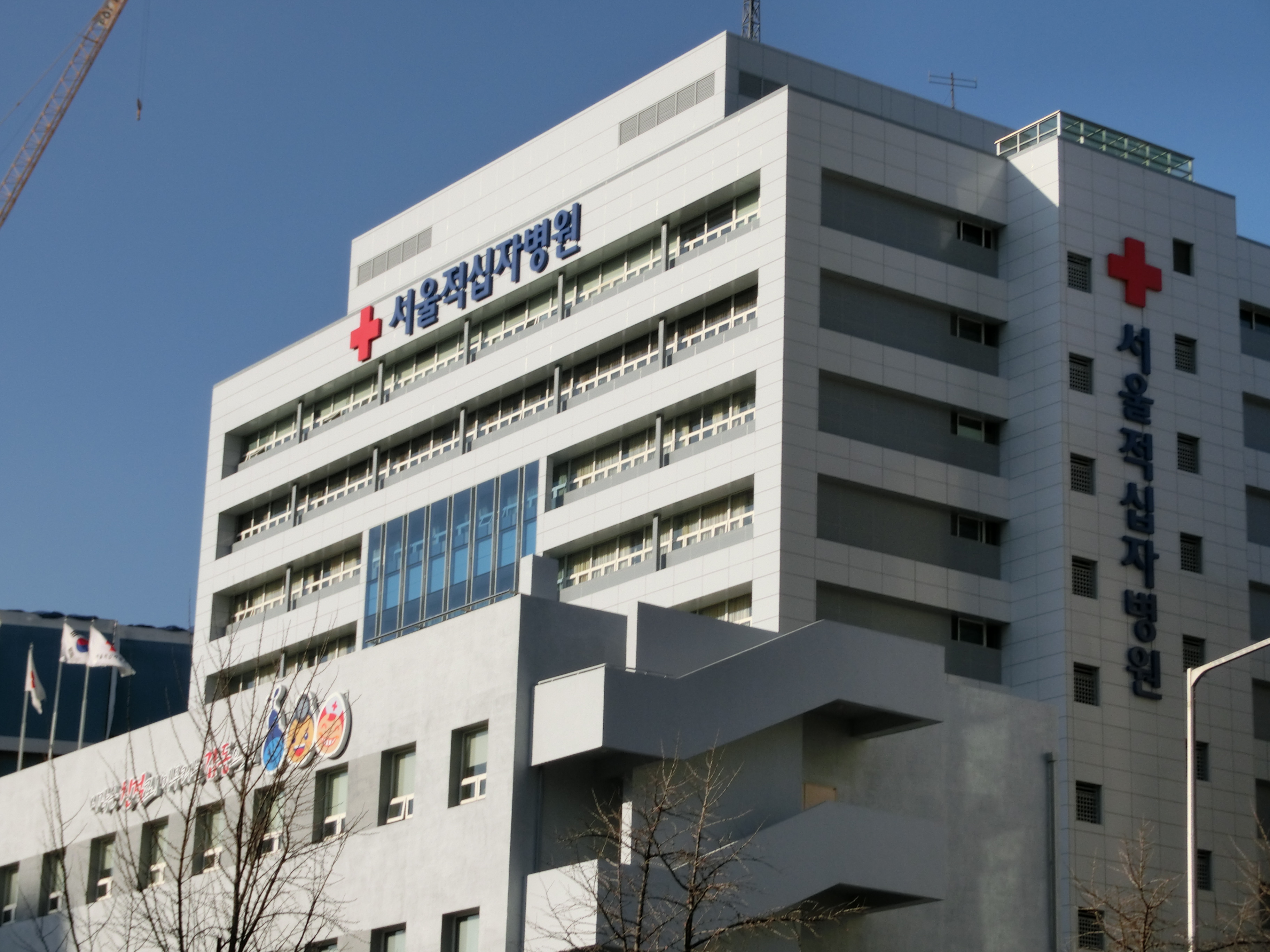 FileSeoul Red Cross Hospital.JPG Wikimedia Commons