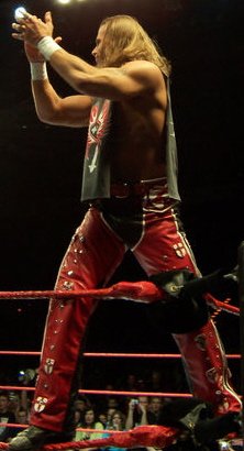 File:Shawn Michaels HBK.jpg