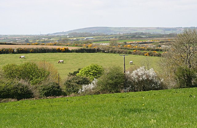 File:Spring Farmland - geograph.org.uk - 161199.jpg