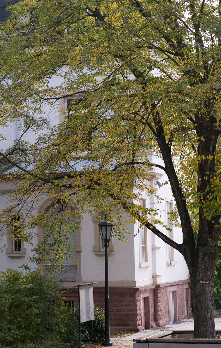 Schulhof St.Raphael Schulen Heidelberg