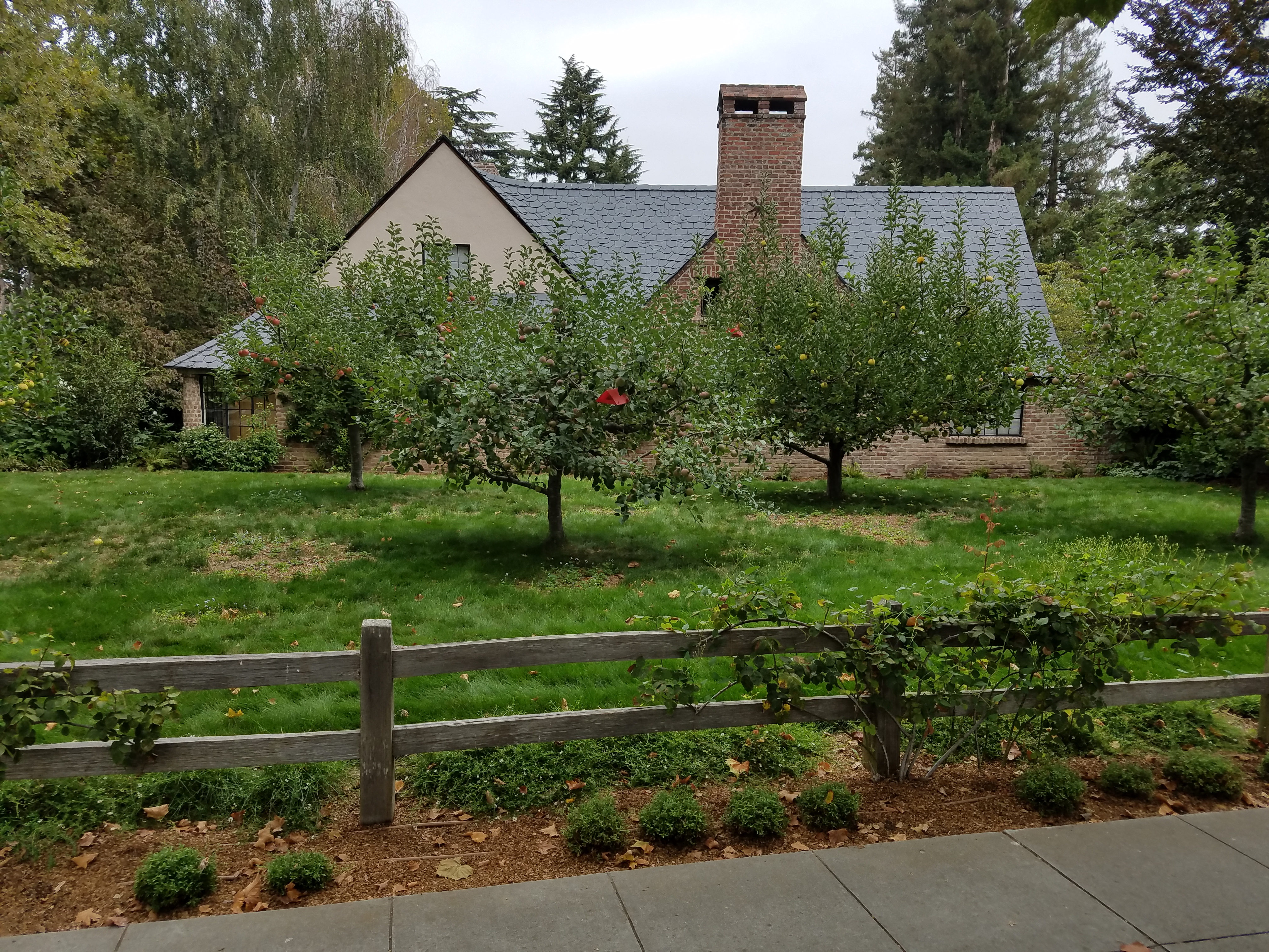 SteveJobs_house_in_PaloAlto_with_fruit_trees.jpg