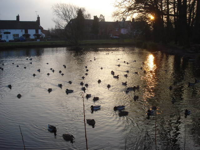 File:Swan Pool at sundown - geograph.org.uk - 637775.jpg