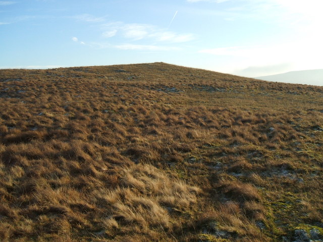 File:The 488m top called Cop - geograph.org.uk - 633111.jpg