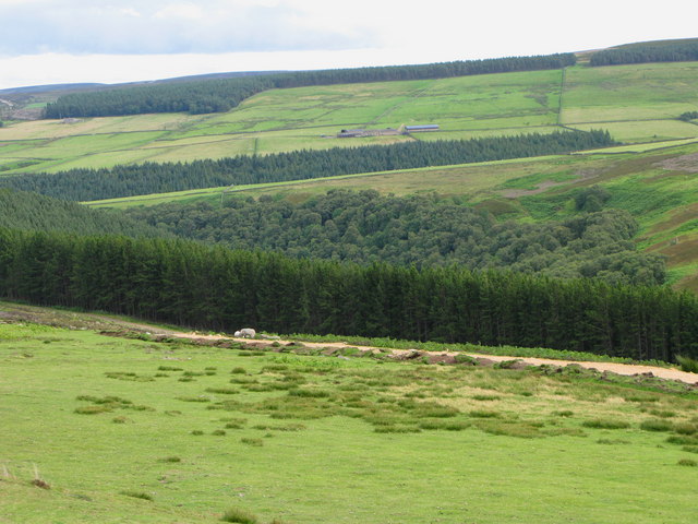 File:The valley of Beldon Burn - geograph.org.uk - 512721.jpg