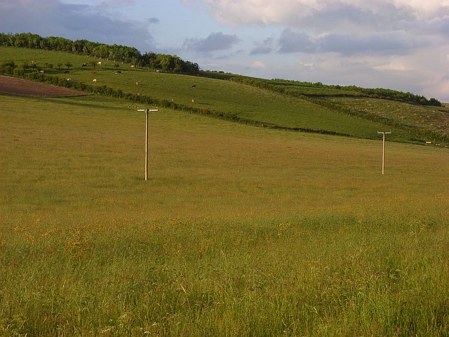 Thurle Down - geograph.org.uk - 456818