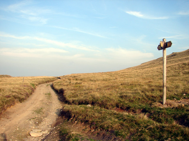 File:Track Junction near Bryn Dinas - geograph.org.uk - 238318.jpg