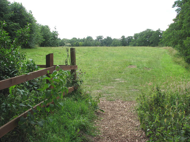 Whitlingham Country Park - picnic area - geograph.org.uk - 1387346