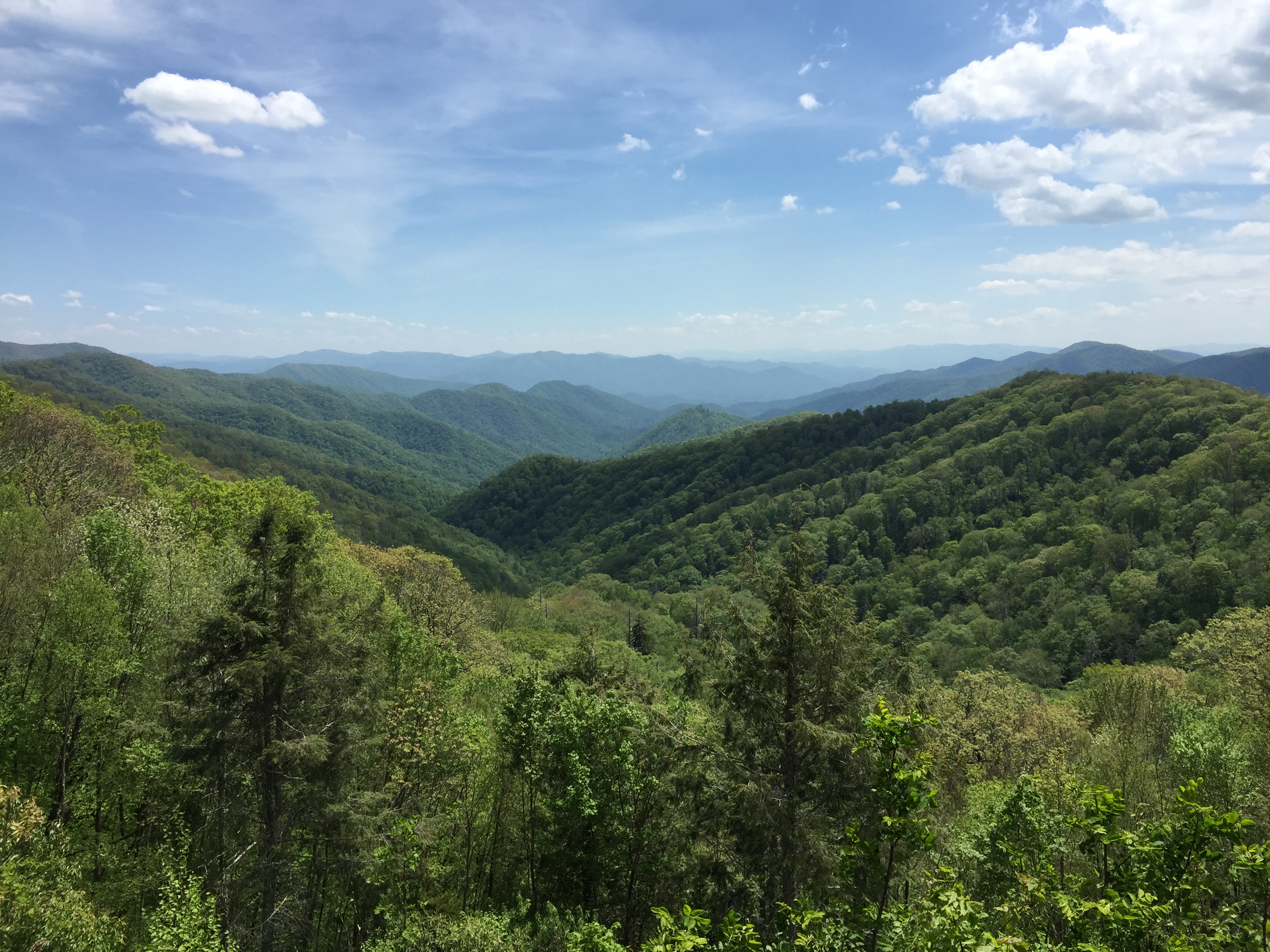 Great Smoky Mountains National Park - North Carolina 