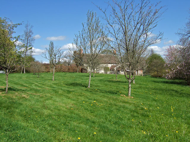 File:A Glimpse of Metford Mill - geograph.org.uk - 405770.jpg