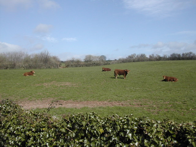 File:A group of fine young men - geograph.org.uk - 378375.jpg