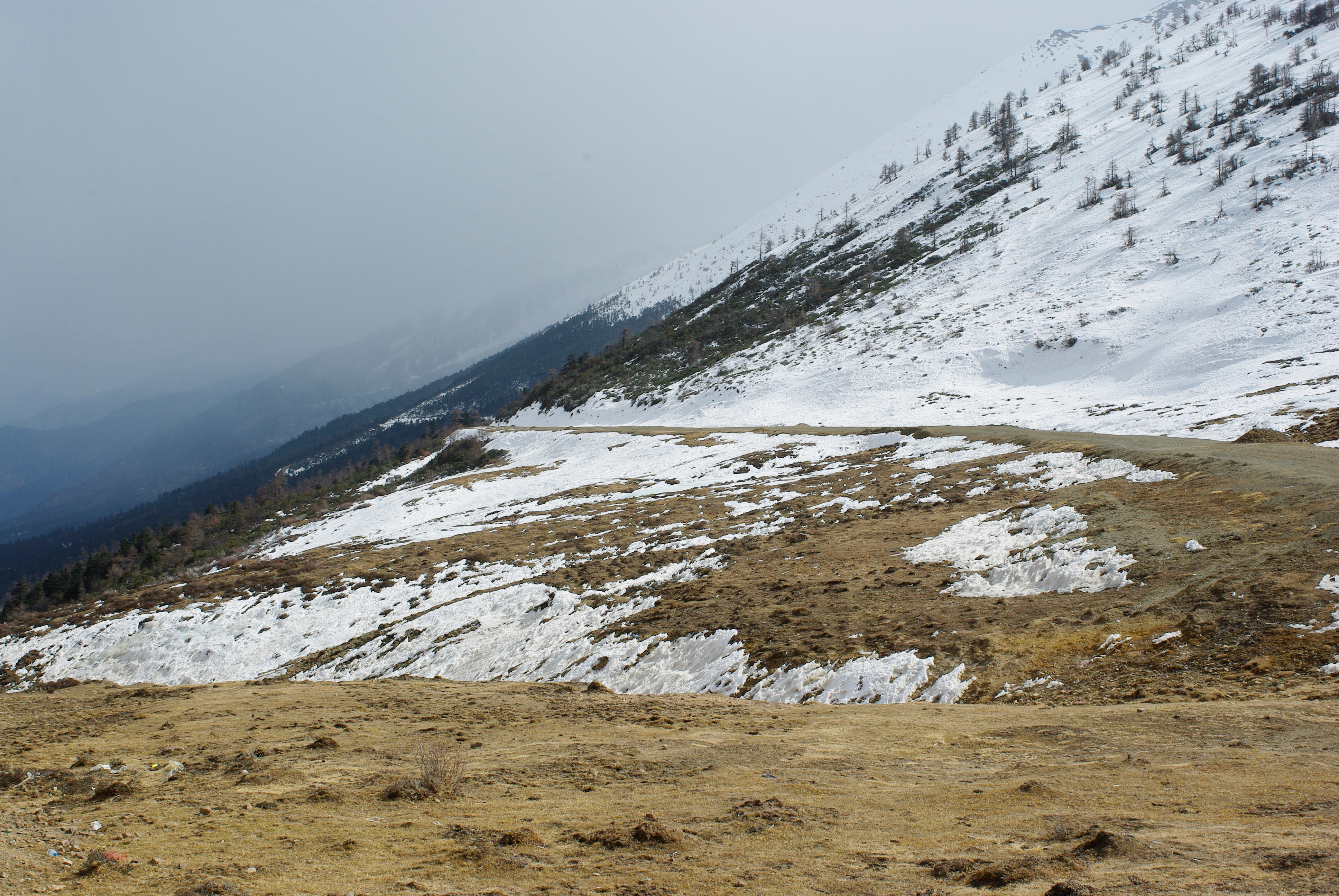 File:Baima Snow Mountain 白马雪山, Yunnan, 2009 (51990853498).jpg