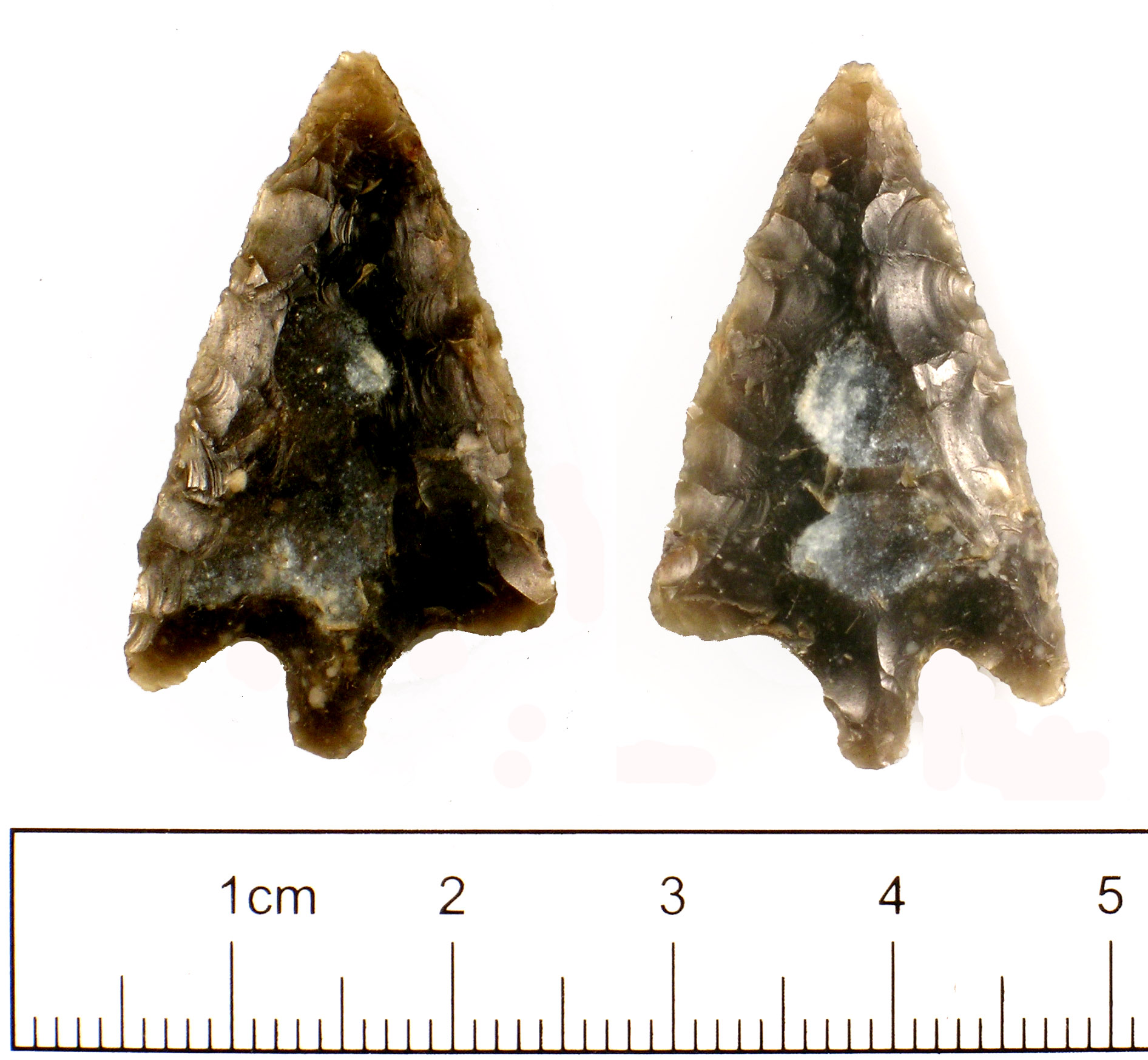 What is the most valuable arrowhead?