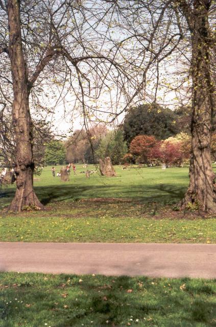 Bute Park - Wikipedia