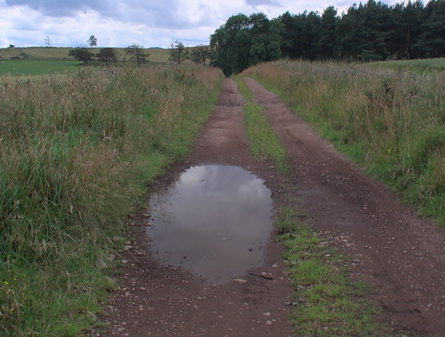 File:Common Loaning at the very top of its course - geograph.org.uk - 909018.jpg