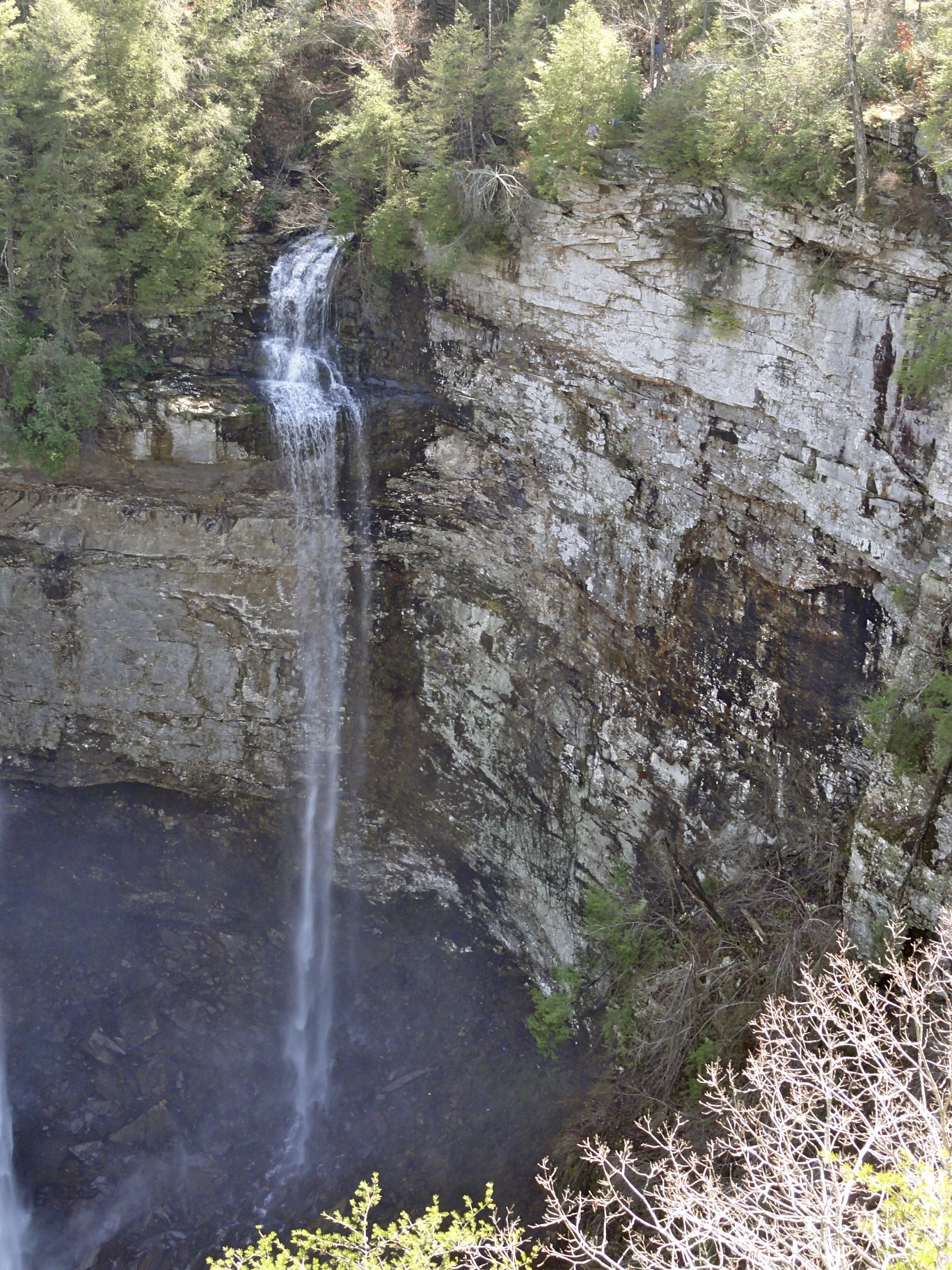 Photo of Coon Creek Falls