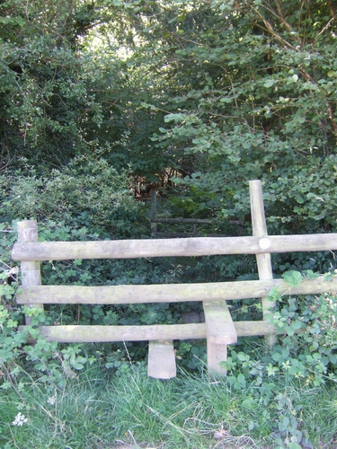 File:Entrance into Lightwood Covert - geograph.org.uk - 536301.jpg