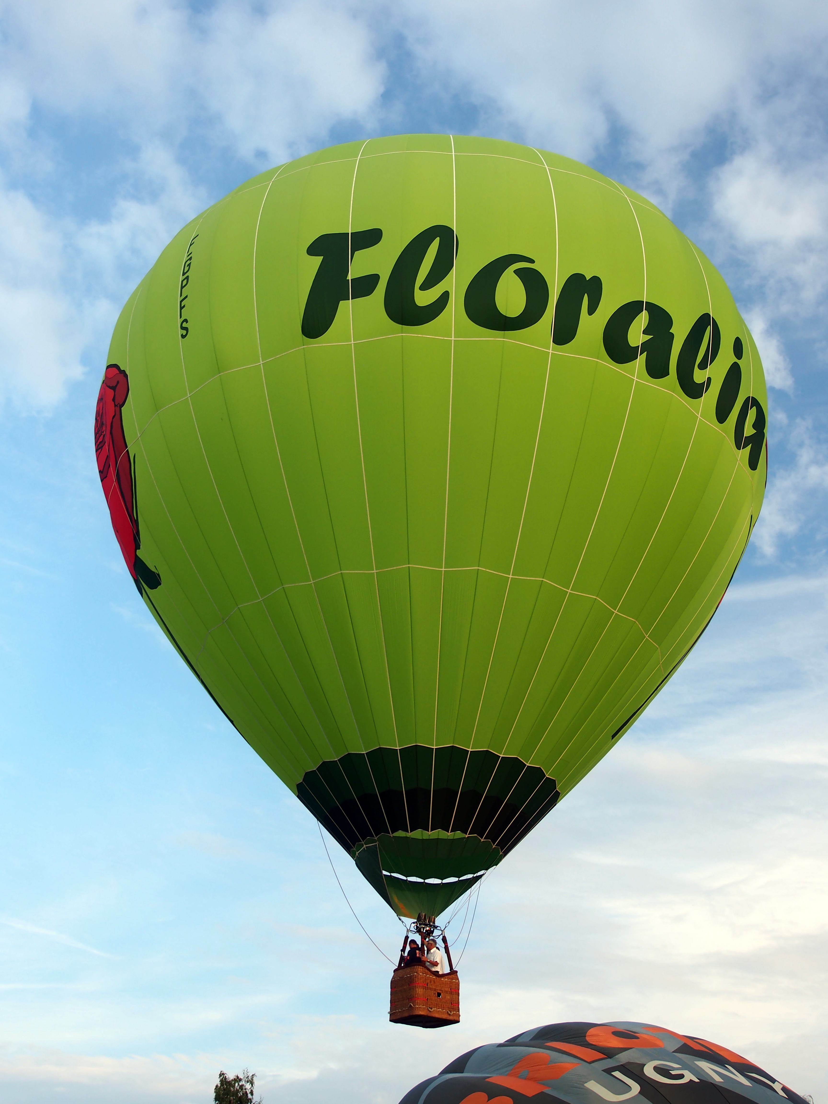 Hot Air Balloon инструкторы