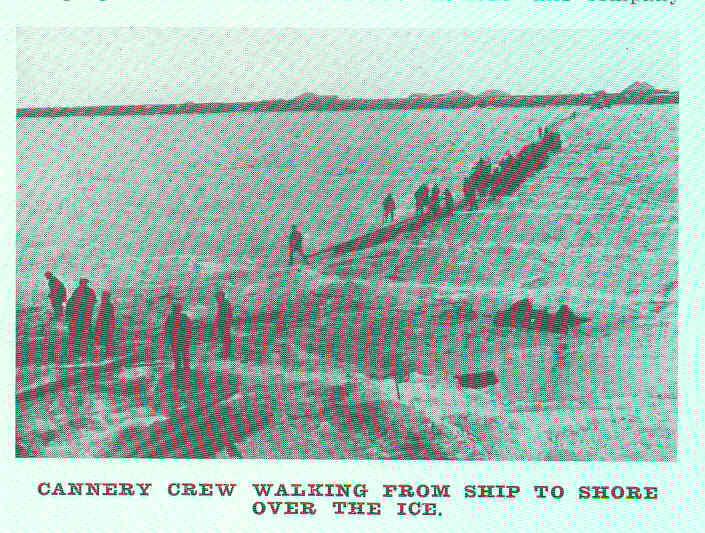 File:FMIB 44811 Cannery Crew Walking from Ship to Shore Over the Ice.jpeg