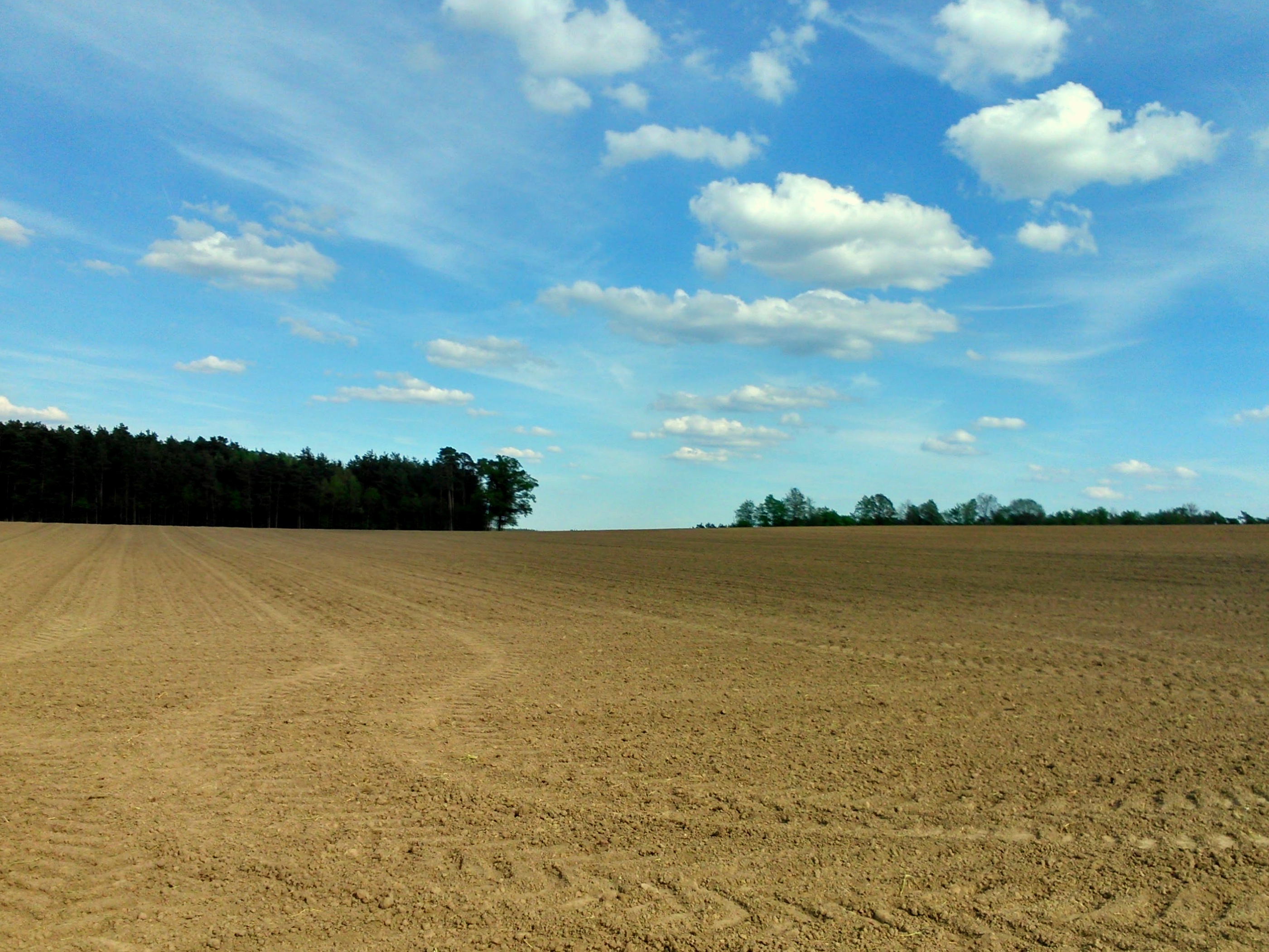 B 2 field. Fields 1,2. 200 M2 field. Artificial Horizon.