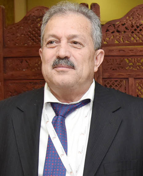 File:Hussein Arnous.jpg