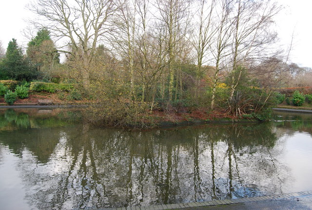 File:Island in the lake, Grosvenor Recreation Ground - geograph.org.uk - 1070385.jpg