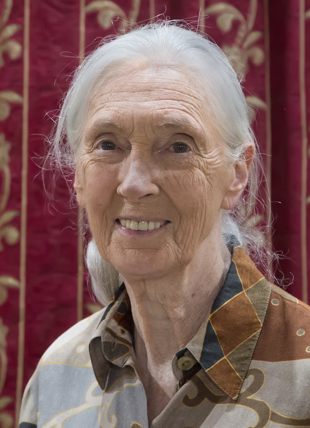 Picture of Jane Goodall