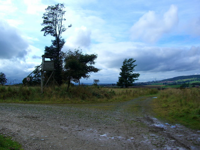 Junction of two forestry roads on the edge of Whinfell Forest - geograph.org.uk - 566788