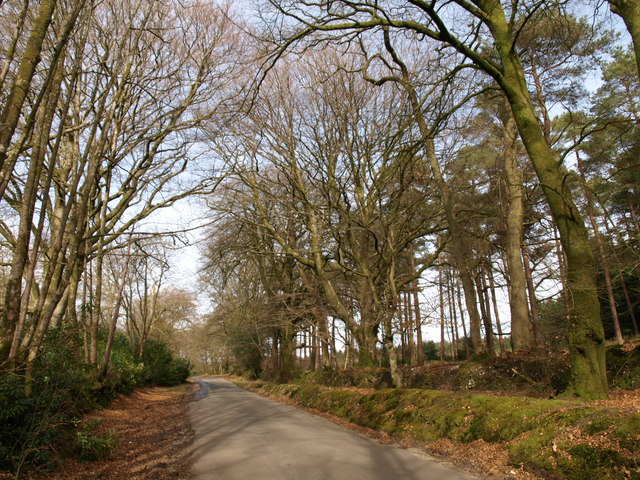 File:Old Exeter Road - geograph.org.uk - 1215002.jpg