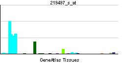 File:PBB GE BCL11A 219497 s at tn.png