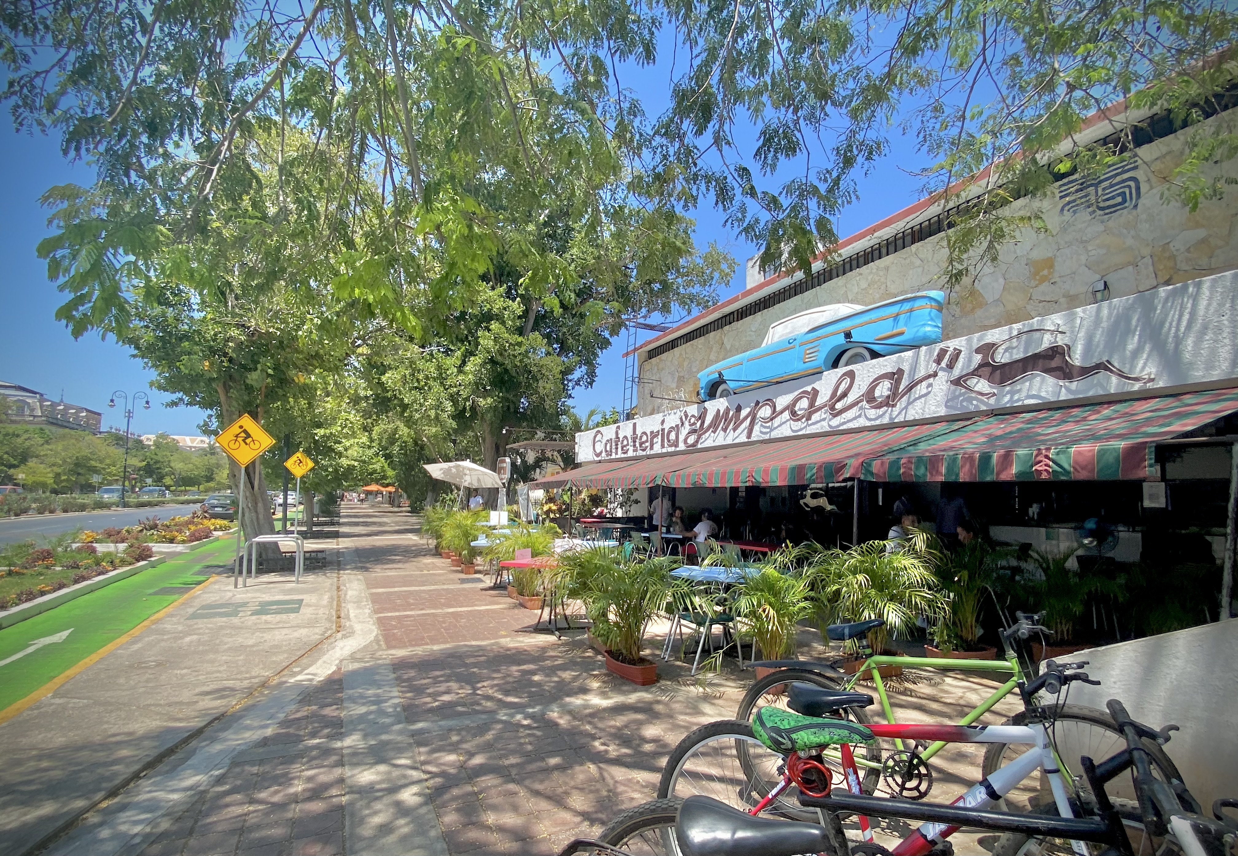 File:Paseo de Montejo, Merida, Yucatan, Mexico Abirl 2021 - Cafeteria   - Wikimedia Commons