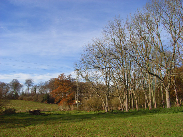 Pasture and woodland, Sonning Common - geograph.org.uk - 1059566