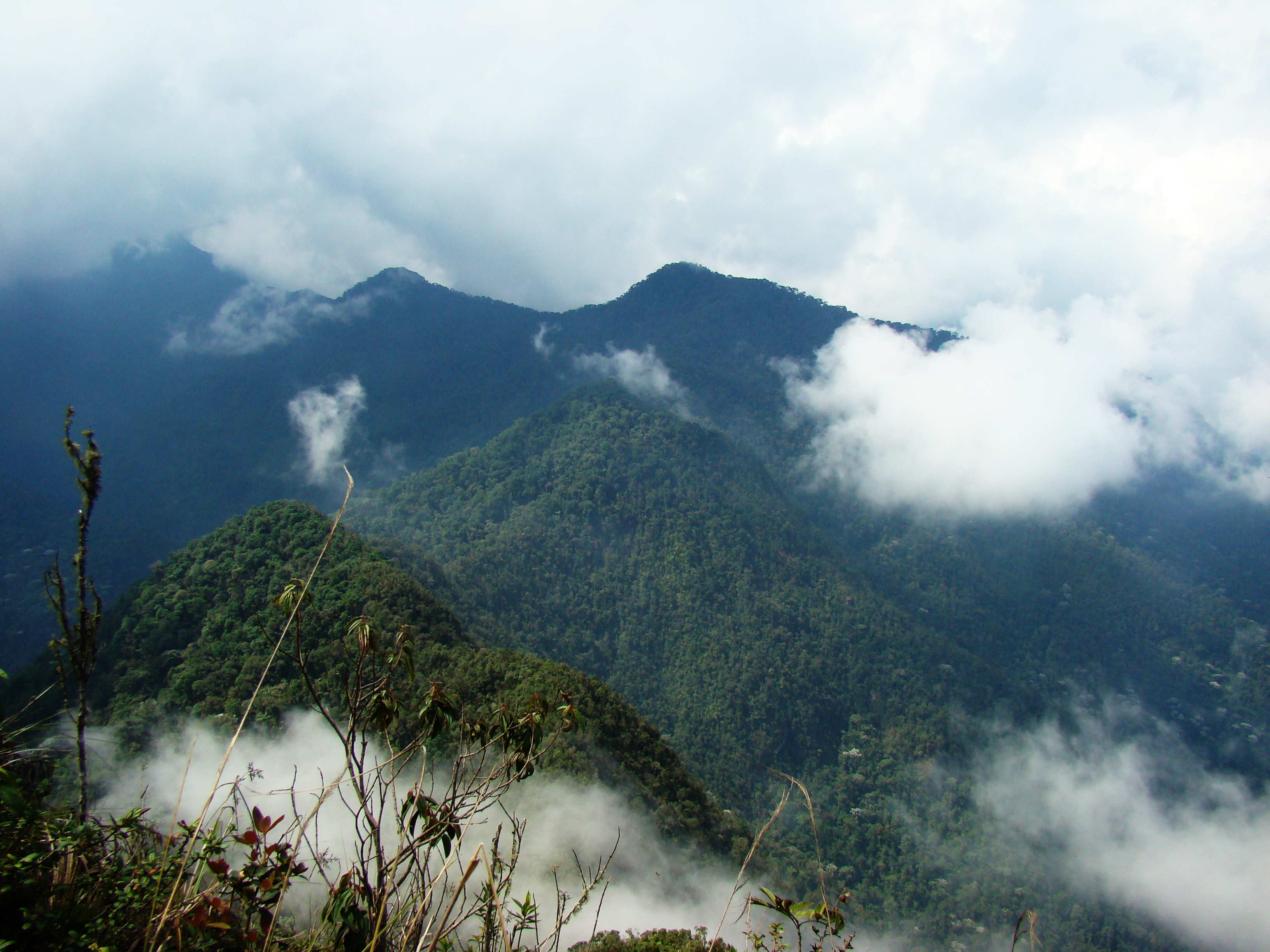 File:Pico de Loro en el PNN Farallones de Cali-Colombia.jpg - Wikipedia
