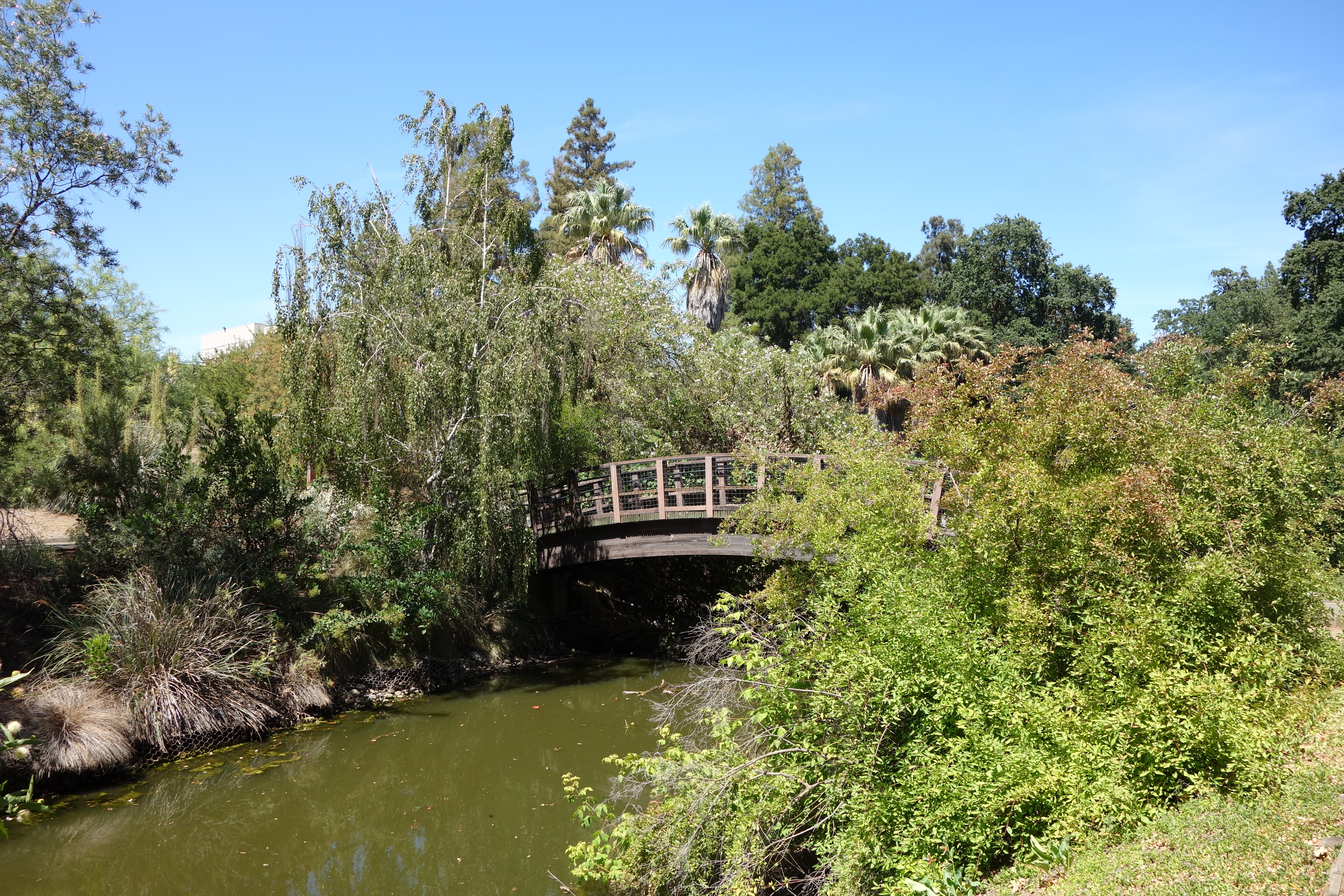 Putah Creek - University of California, Davis. (CC0 Public domain)