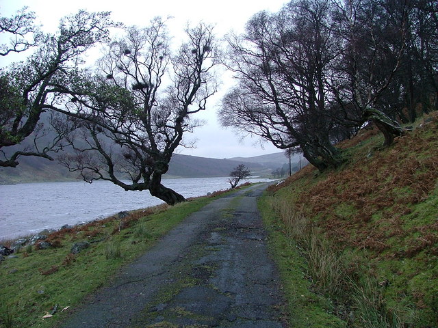 File:Road and Trees by Loch Killin - geograph.org.uk - 284669.jpg