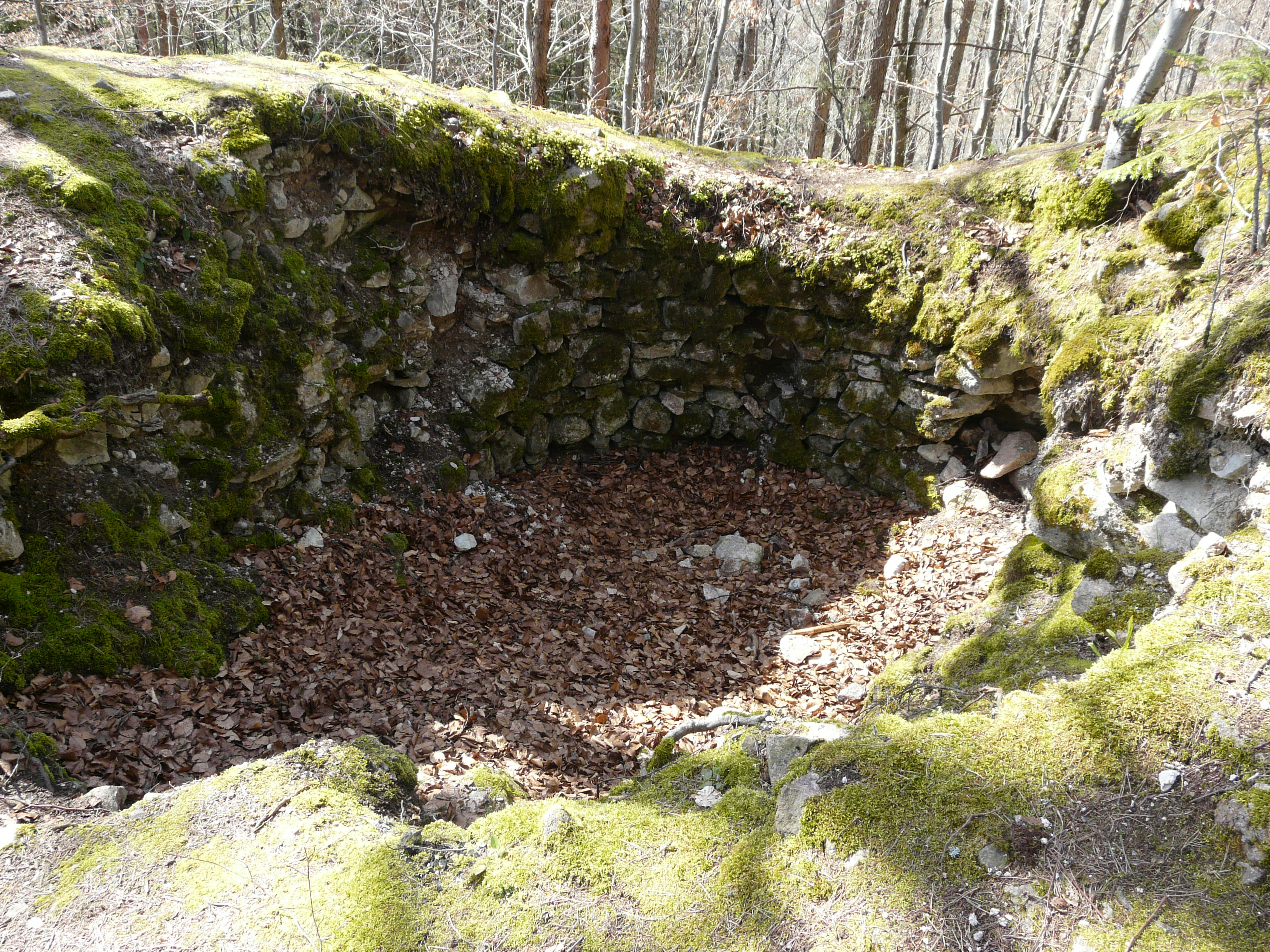 Ruins of Castle Rotenburg, close to Wieslet