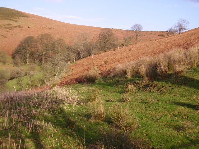 File:Rough pasture and track - geograph.org.uk - 650355.jpg