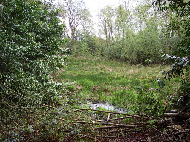 Source of the River Blackwater - geograph.org.uk - 780498