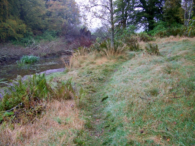 The Cateran Trail, Bamff - geograph.org.uk - 1533596