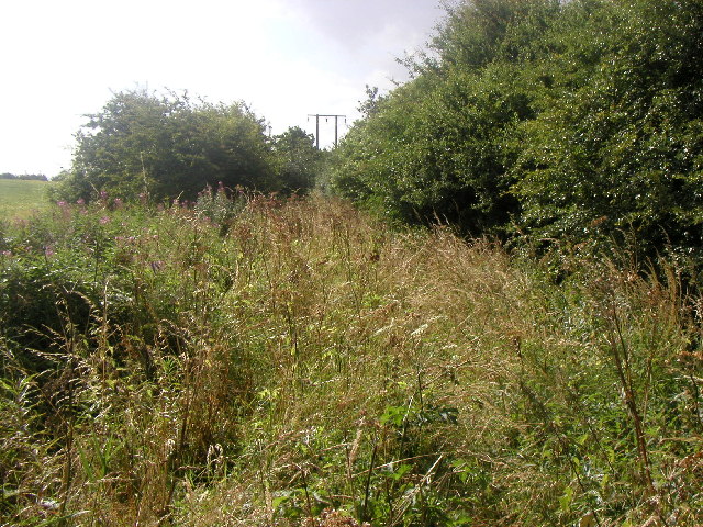 File:The old Hull to Withernsea railway - geograph.org.uk - 28784.jpg