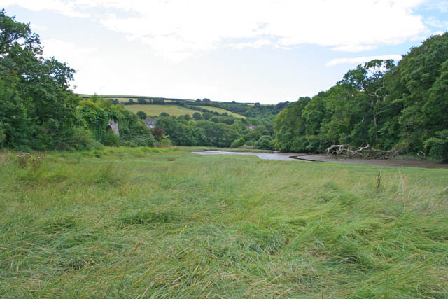 File:Tidal creek and saltmarsh by Gooseford Lane - geograph.org.uk - 224156.jpg