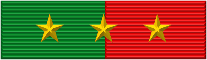File:Vietnam Fatherland Defense Order ribbon.png