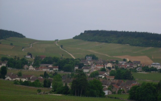 File:Vignoble de mercurey 3.JPG