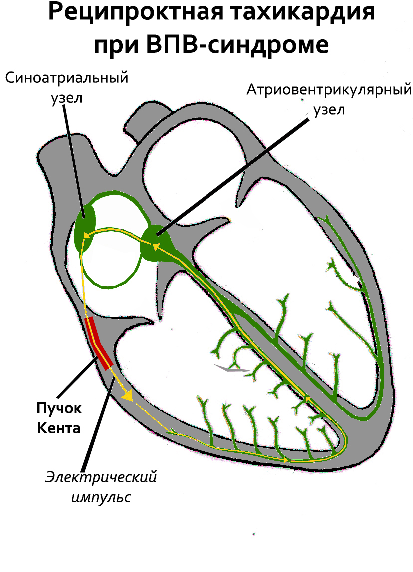 Още текстове от АК-47