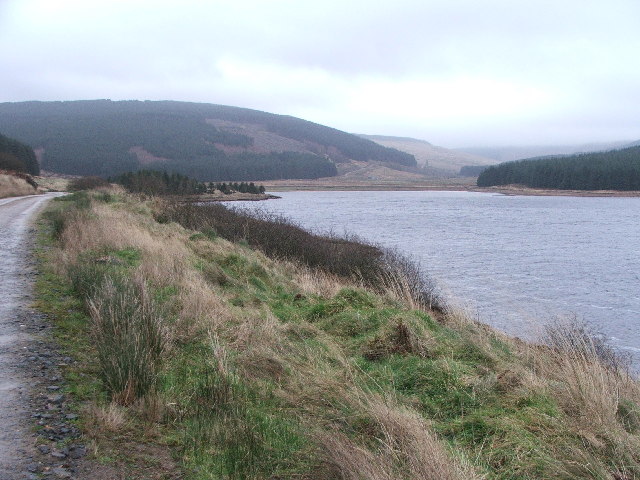 Kintyre Goose Roosts