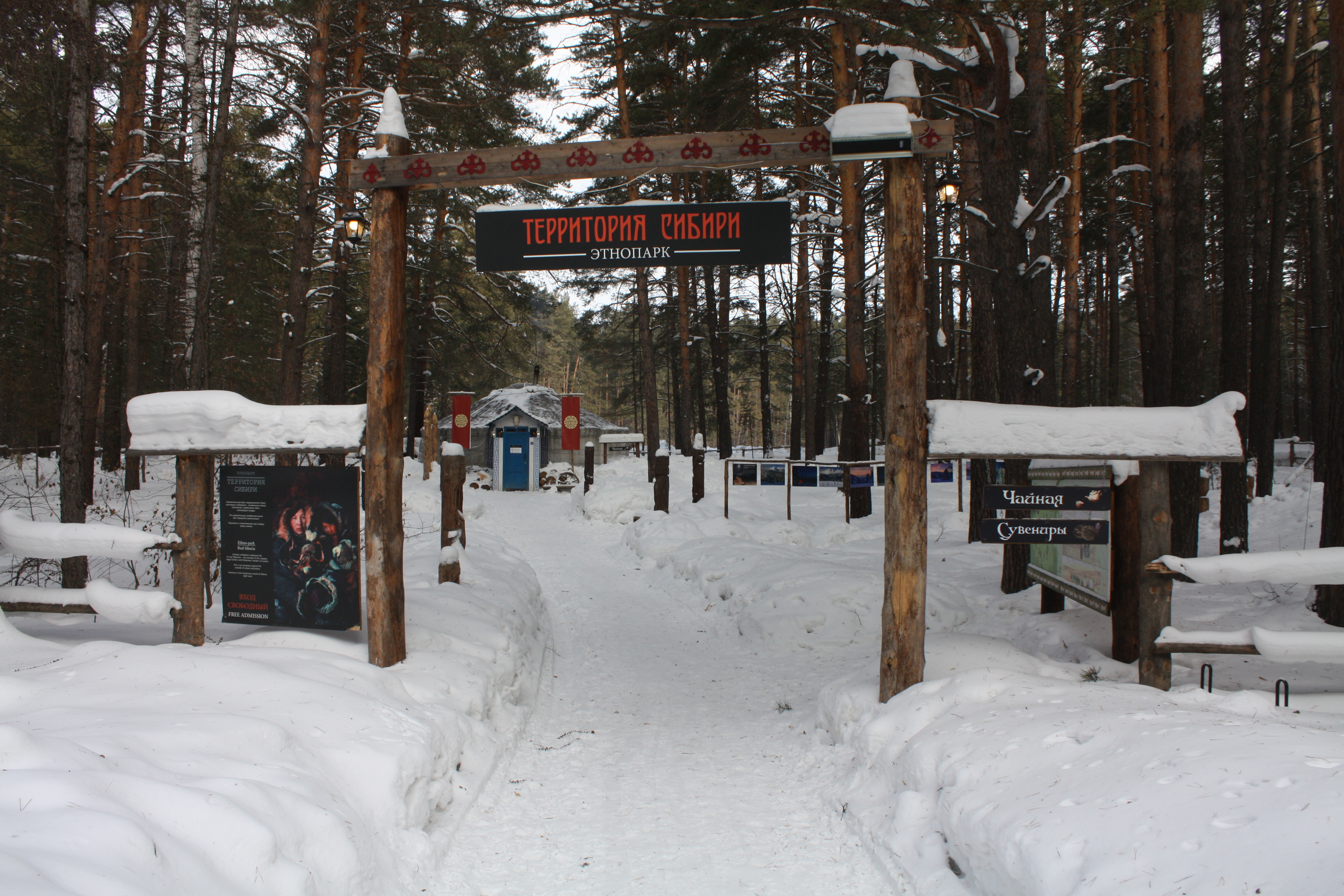 заельцовский парк новосибирск зимой