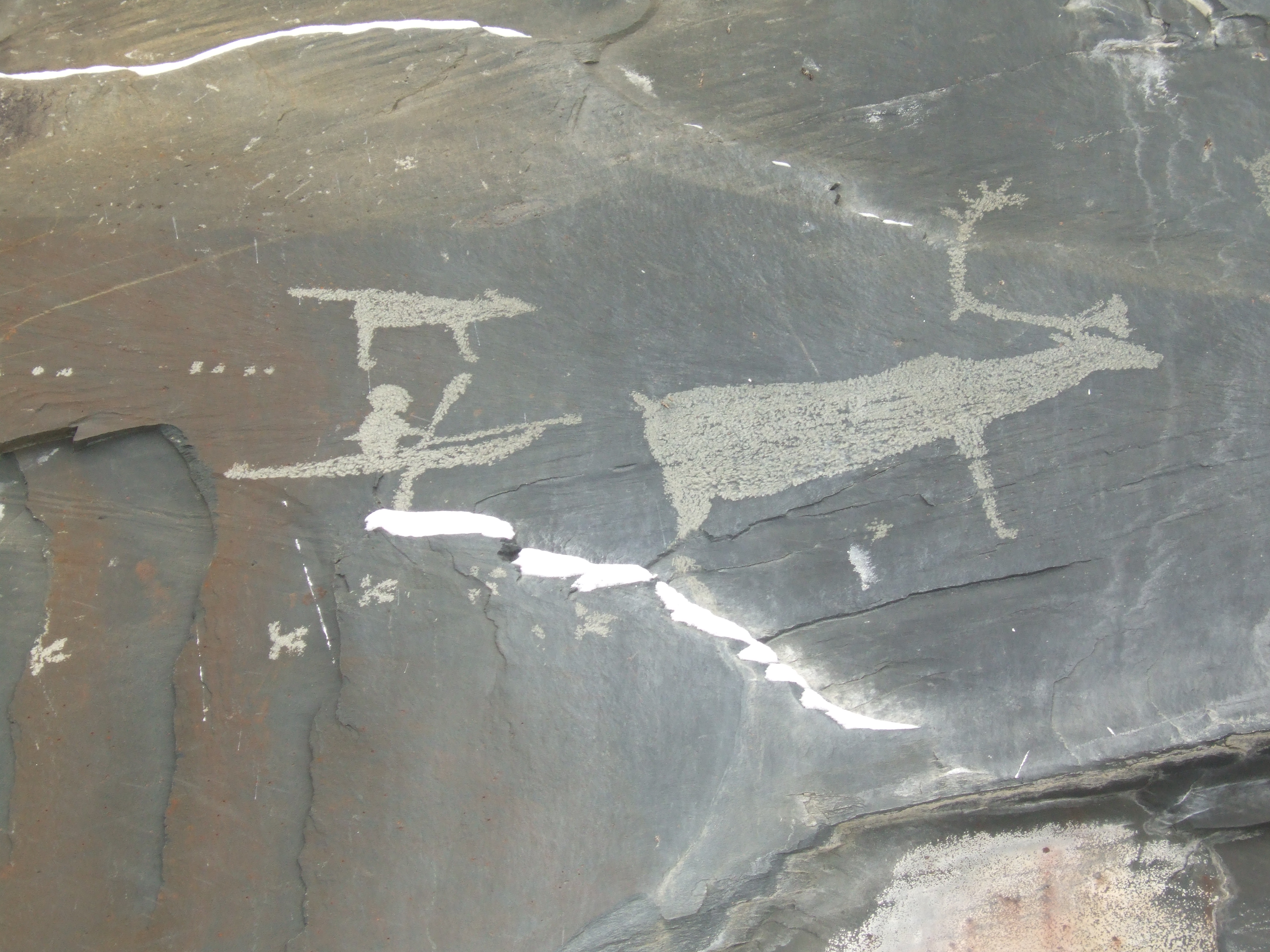 Чукотка две тысячи лет назад: наскальные рисунки Пегтымеля