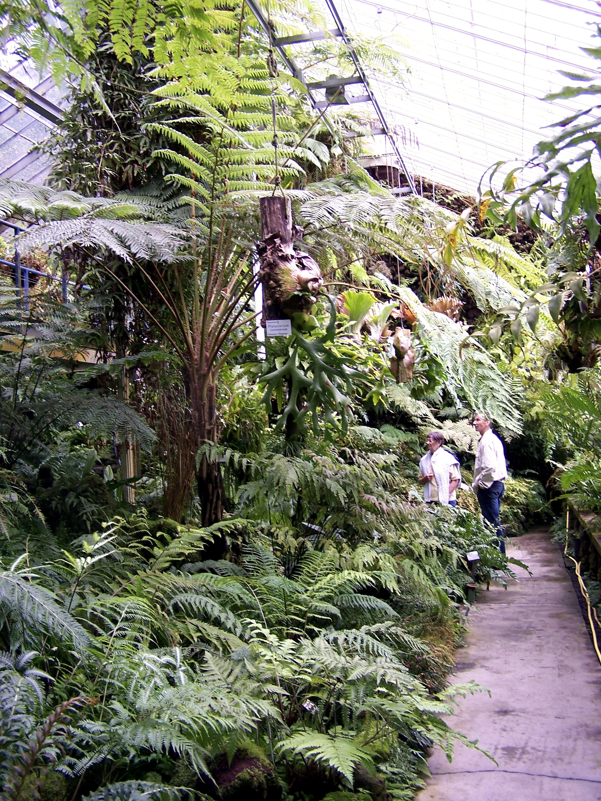 File Alter Botanischer Garten Der Universitat Gottingen 015 Jpg