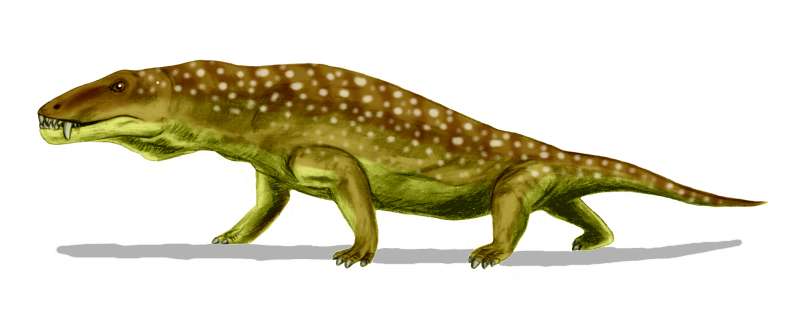 File:Anteosaurus BW.jpg