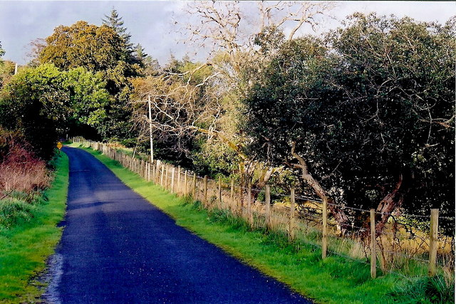 File:Ards Forest Peninsula - Scenes along road into Friary - geograph.org.uk - 1328785.jpg