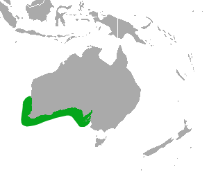 File:Australian Sea Lion area.png